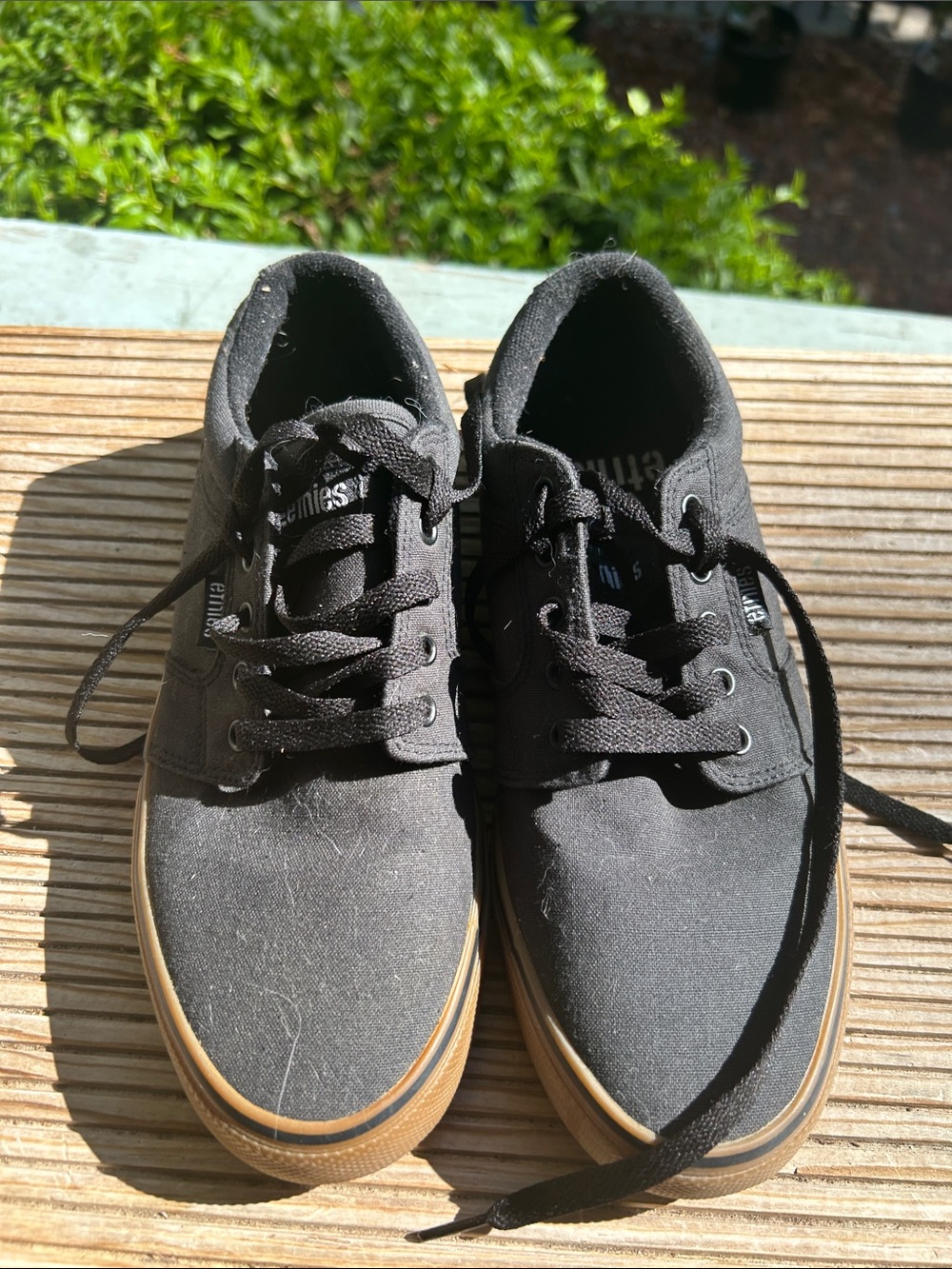 Etnies Black Canvas Sneakers with Gum Outsole